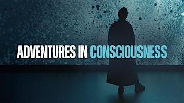 What is Consciousness?