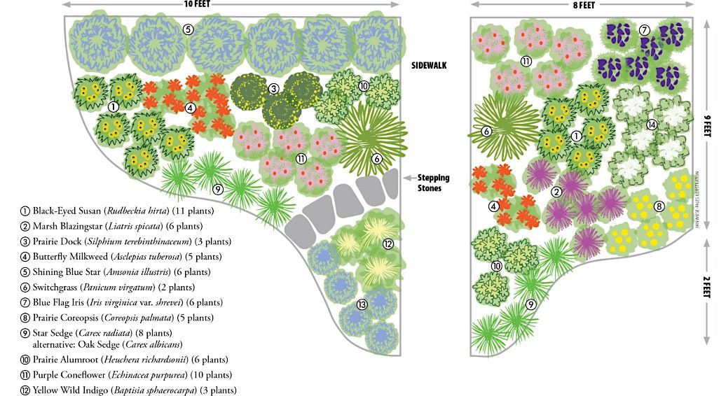 Backyard Blueprint: A Landscape Design Workshop