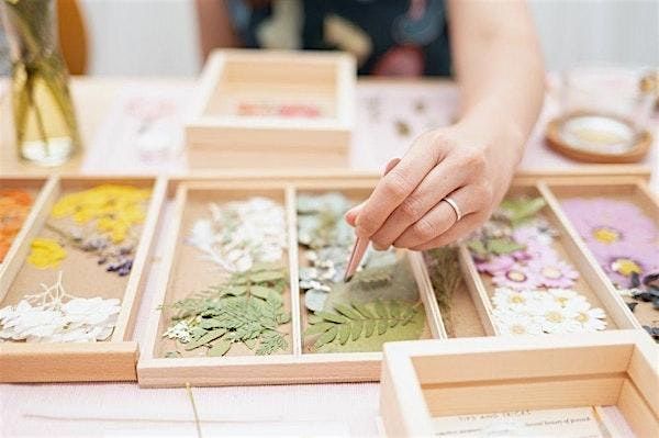 Discover the Art of Pressed Flowers: A Beginner's Workshop