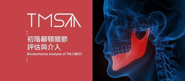 初階顳顎關節評估與介入台北場 台灣動作專家協會taiwan Movement Specialist Association Taipei 4 September To 5 September