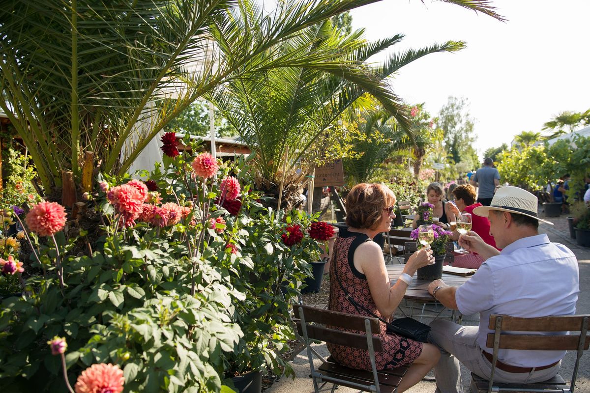 Weinmarkt im Sp\u00e4th'en Weingarten