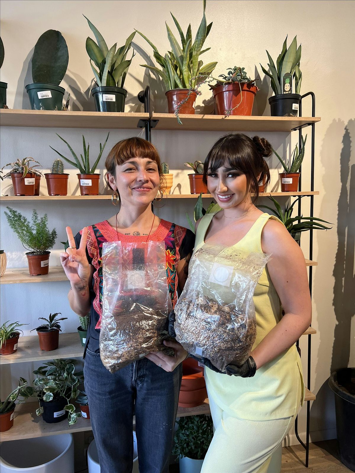 El Paso Mushroom Co. Cultivation Workshop At Viva La Plant Shop