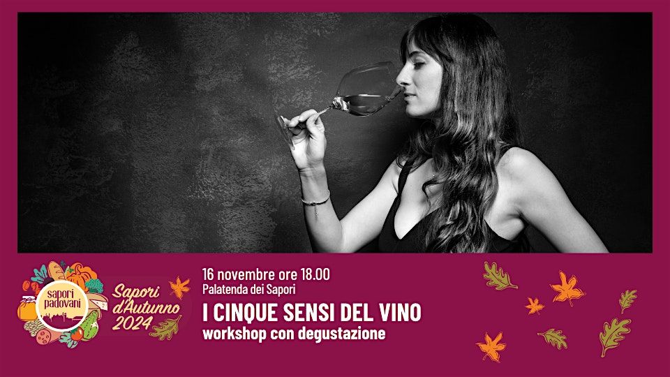 I CINQUE SENSI DEL VINO