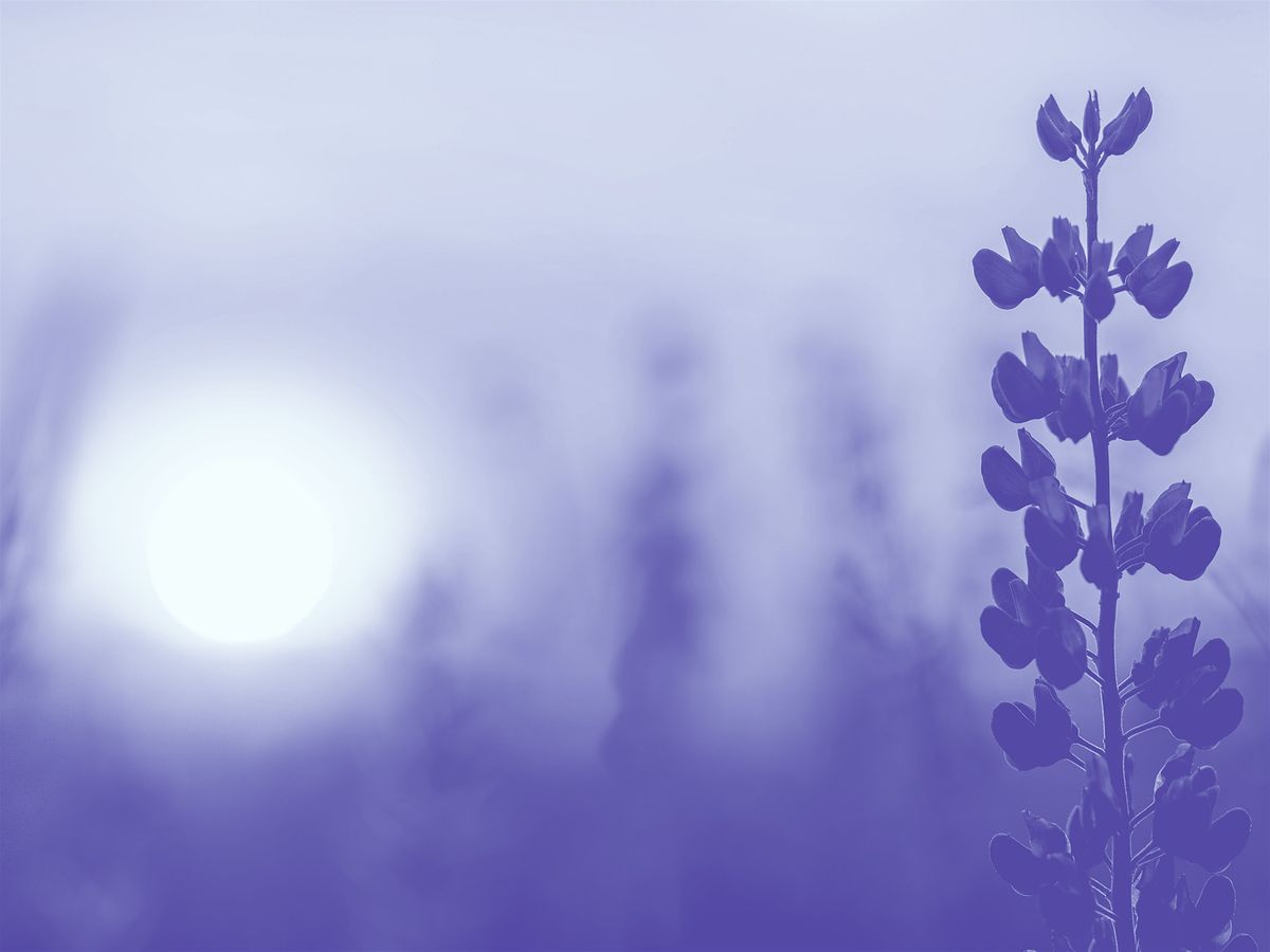 Turning to the Sun