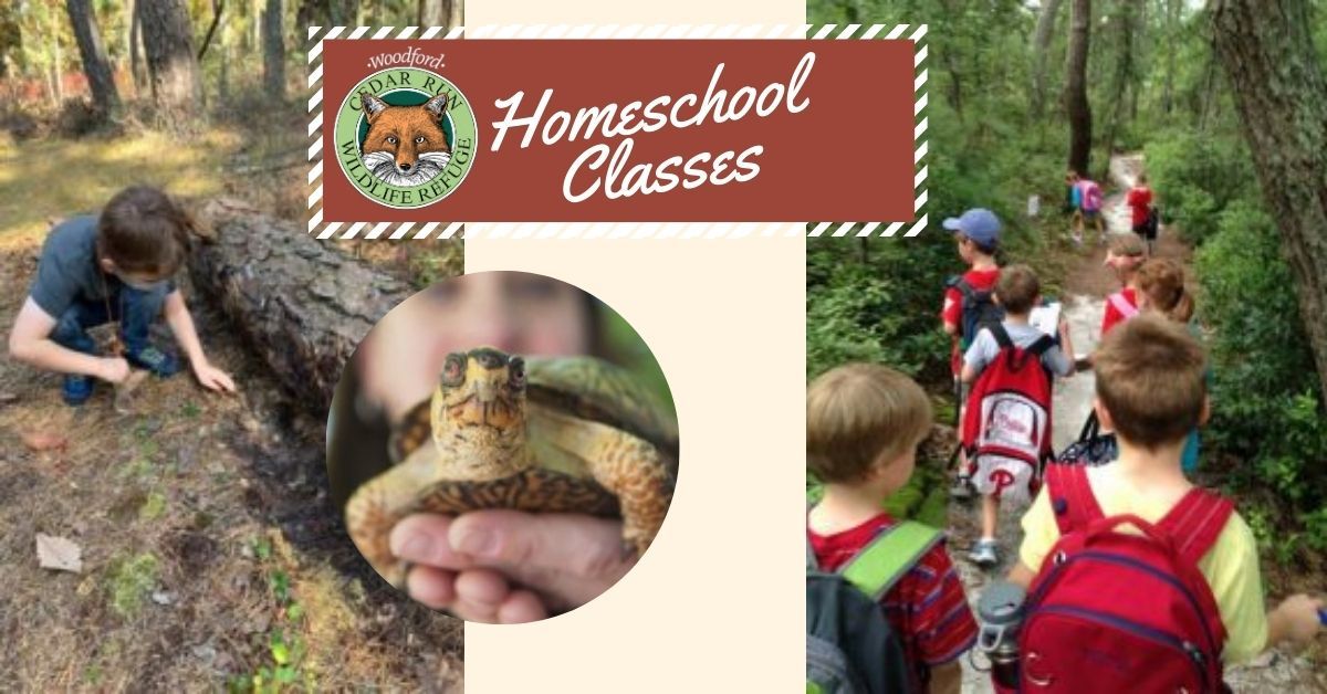 Homeschool Classes (5-10)