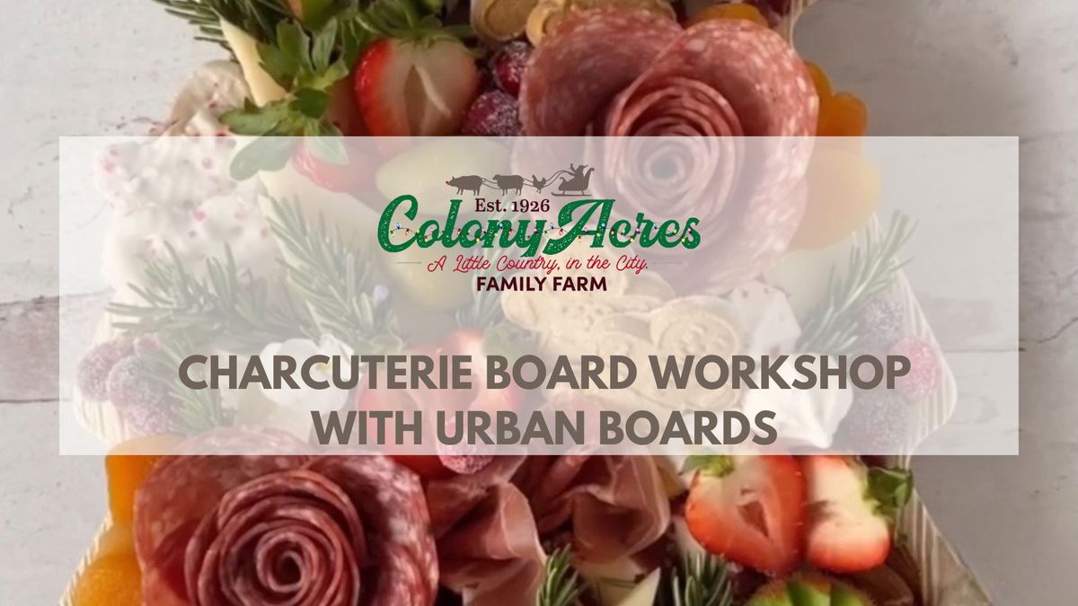 Holiday Themed Charcuterie Board Class \ud83c\udf7d\ufe0f