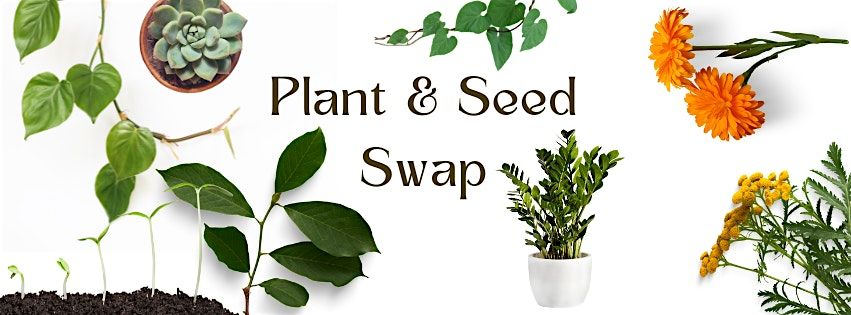 Plant & Seed Swap!