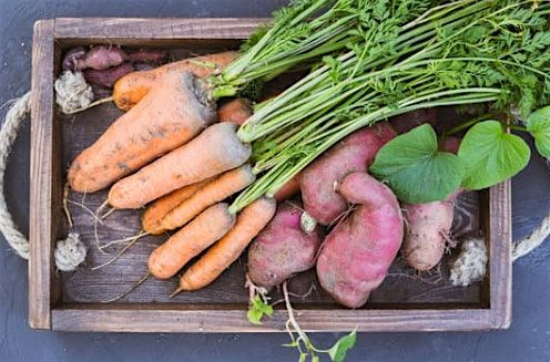 DIY Root Cellar Box