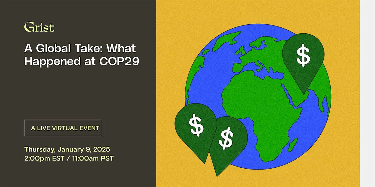 A Global Take: What Happened at COP29