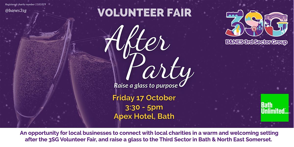3SG Volunteer Fair After Party - Charity & Business Networking