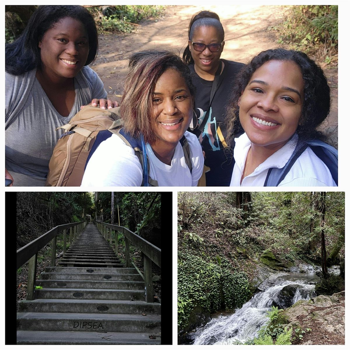 BWA Bay Area: Cypress Trail \/ Dipsea Loop Hike