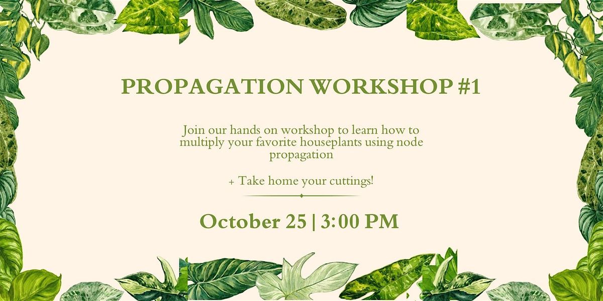 Propagation Workshop #1