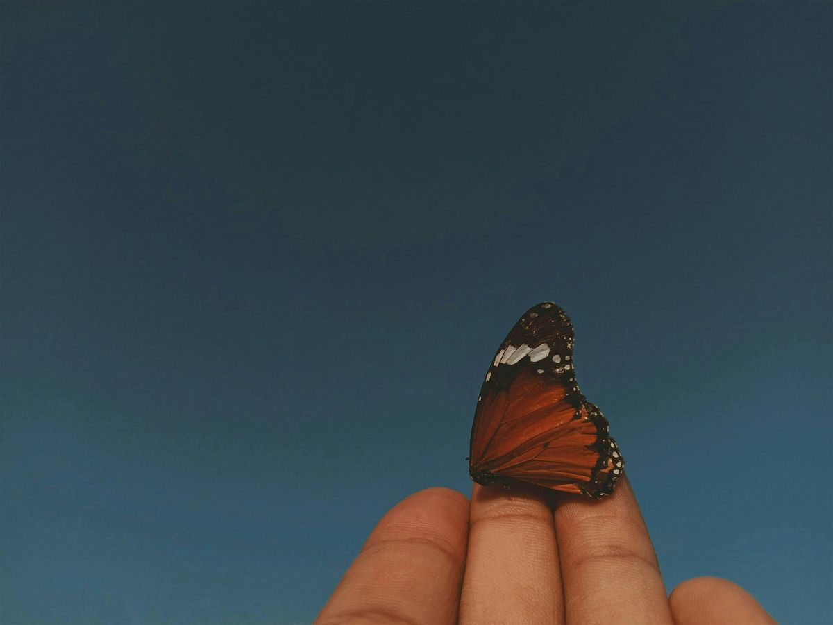 Poetry Together: Facing our Fears