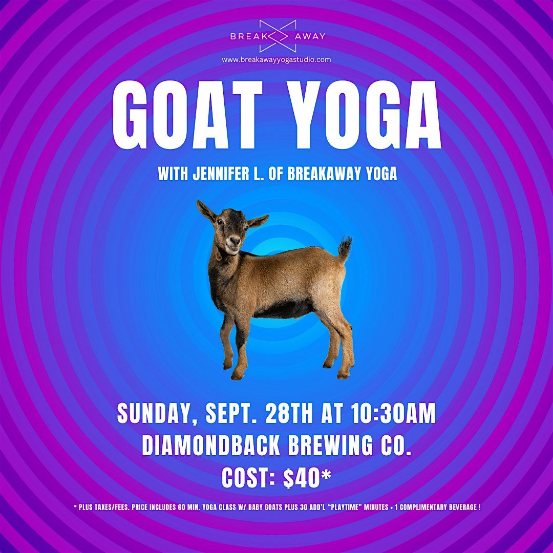 Goat Yoga at Diamondback Brewing Co.