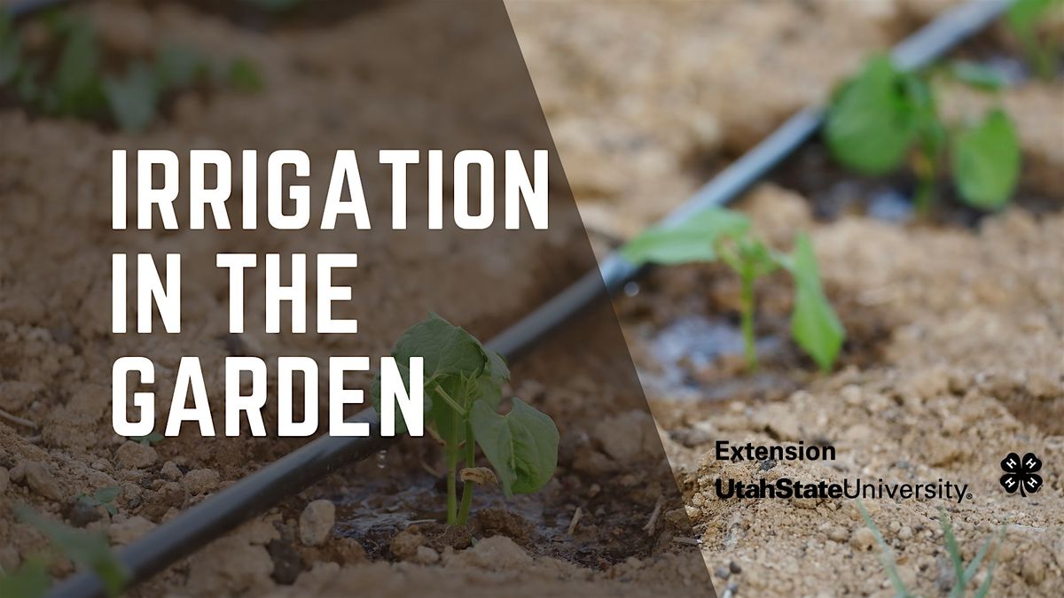 Irrigation for the Garden