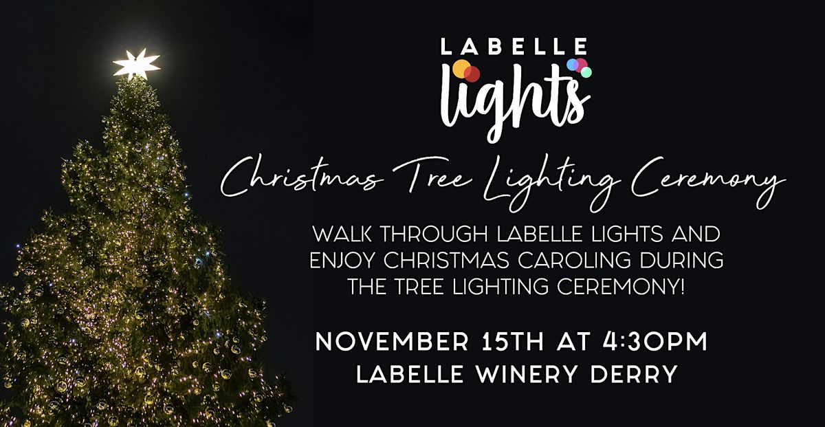 LaBelle Lights Christmas Tree Lighting Ceremony - Derry