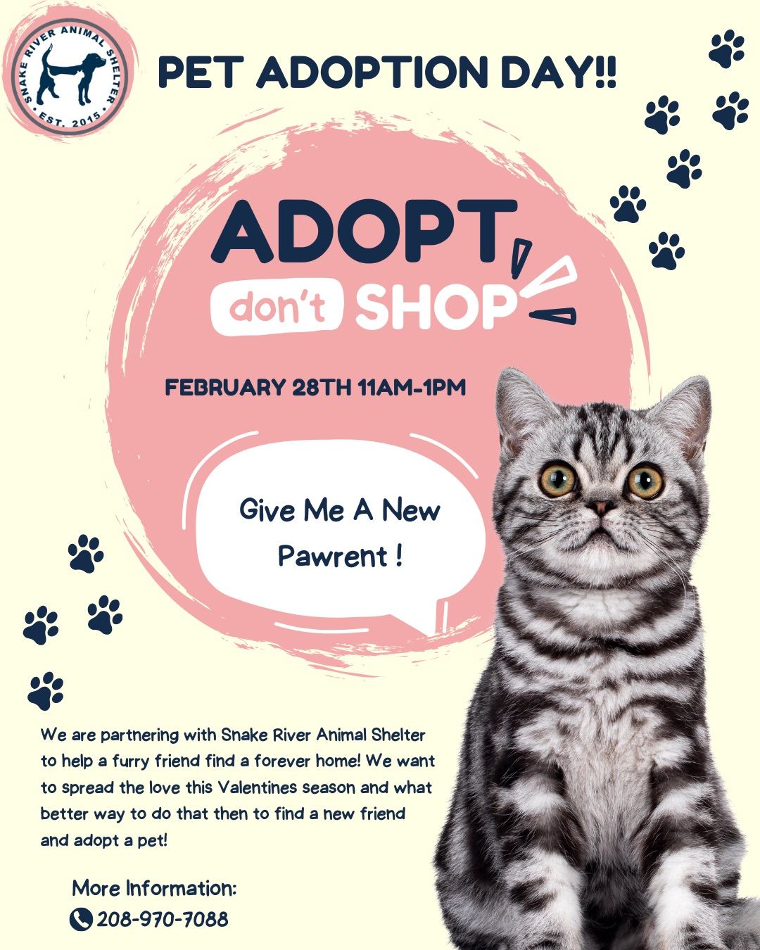 Pet Adoption Day!