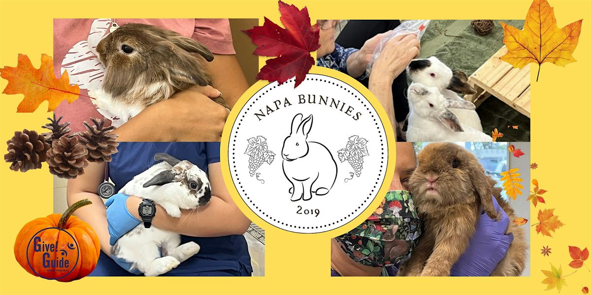 Napa Bunnies Holiday Mixer