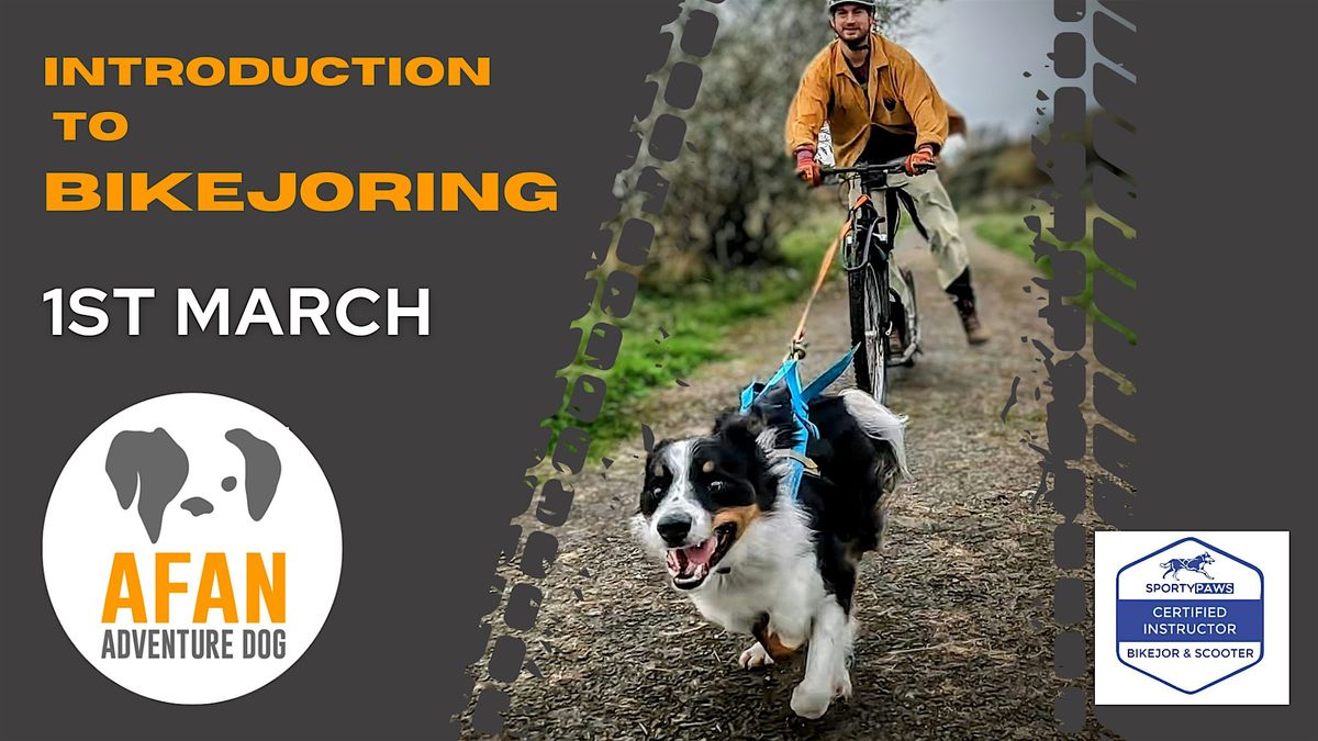 Introduction to Bikejoring & Dog Scootering