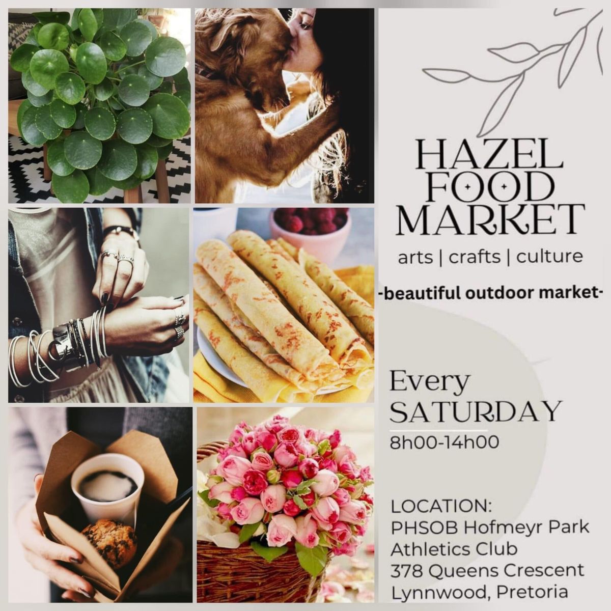 Hazel Food ACC Market