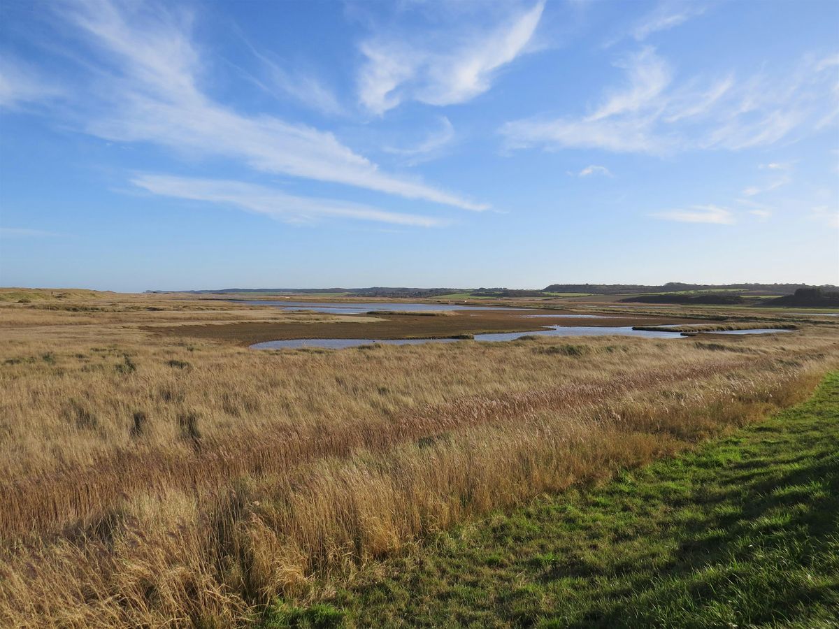 Leg-stretch to Salthouse (17 December)