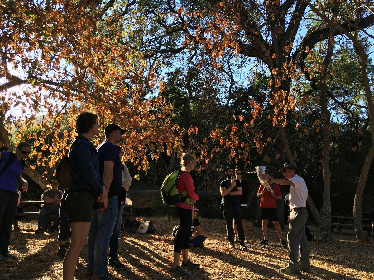 Nature Walk and Bird Count with LushNature