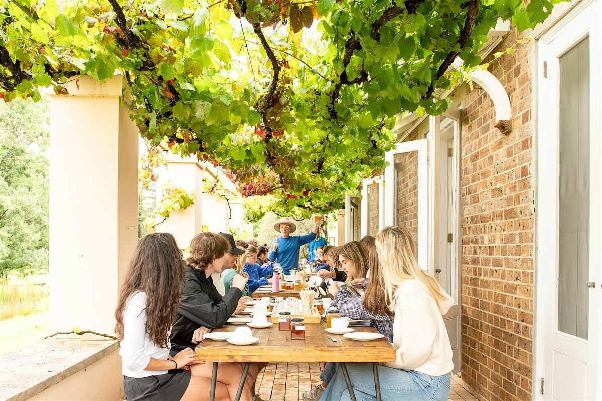 Honey Farm Tour & Honey Tasting