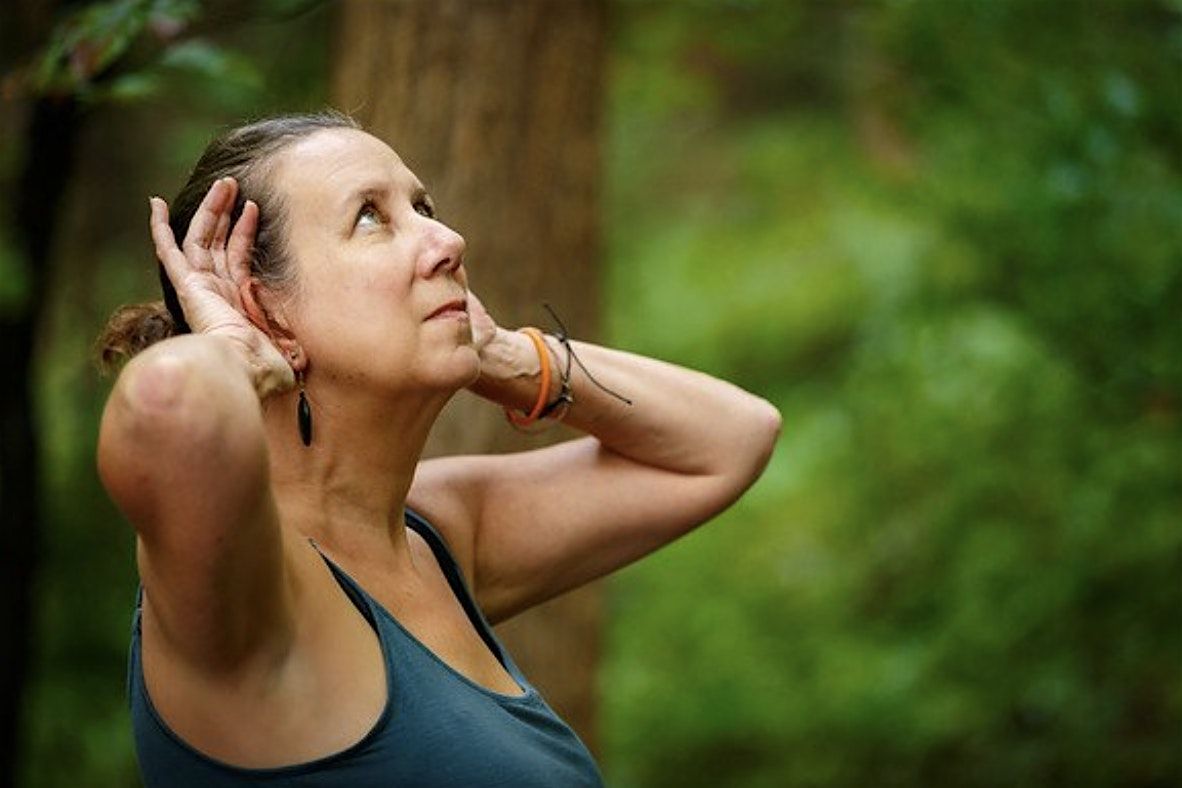 Forest Bathing with Certified Guide Susan West Montgomery