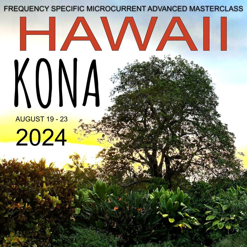 2024 Hawaii FSM Masterclass