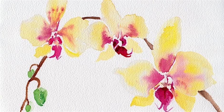 Watercolor workshop - Orchids