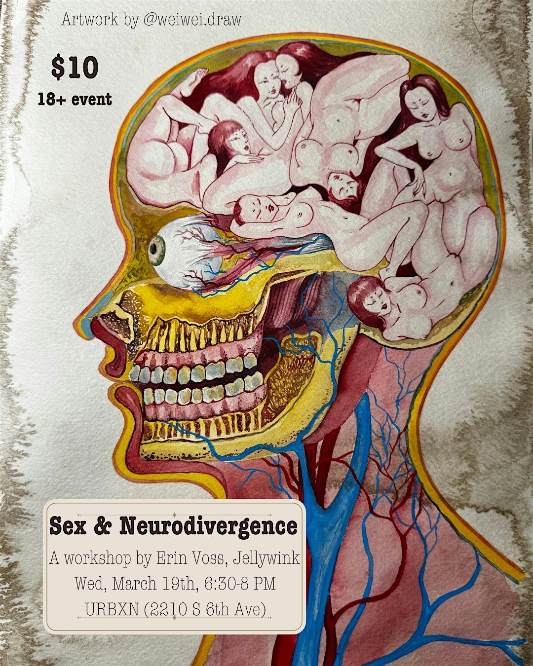 Sex & Neurodivergence Workshop