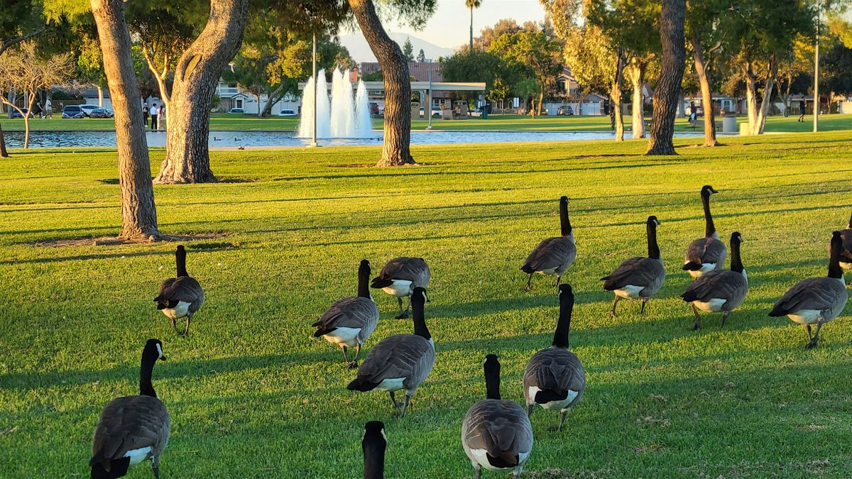 Identity In Christ: Walk, Talk, and Mingle