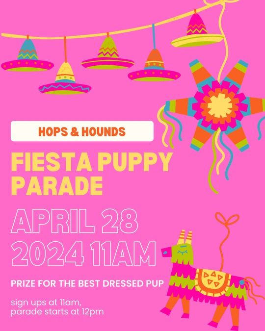 Fiesta Puppy Parade! ?