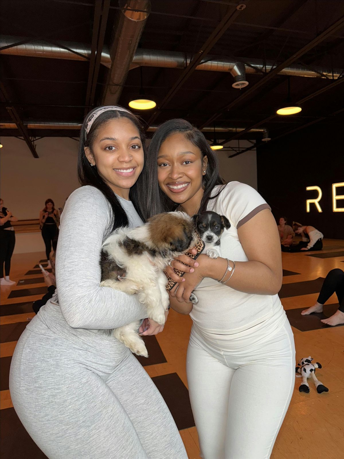 PUPPY YOGA DETROIT