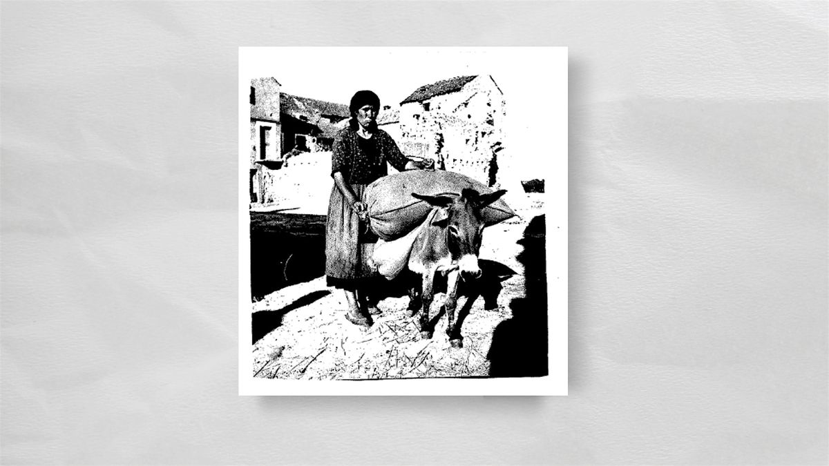 On Donkey Trails into the Modern Age