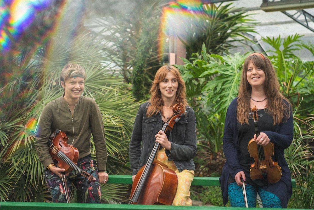 Cambridge Jazz Festival  at Hot Numbers: J.A.M. String Collective