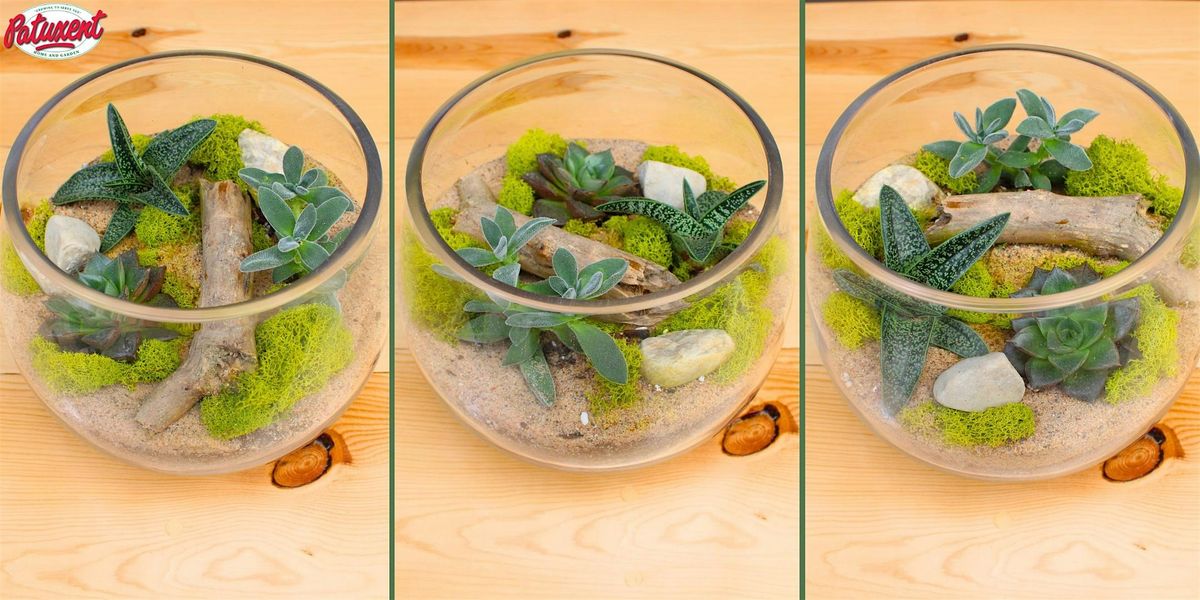 Terrarium Workshop