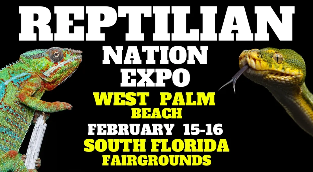Reptilian Nation Expo - Saturday at Freeman Coliseum