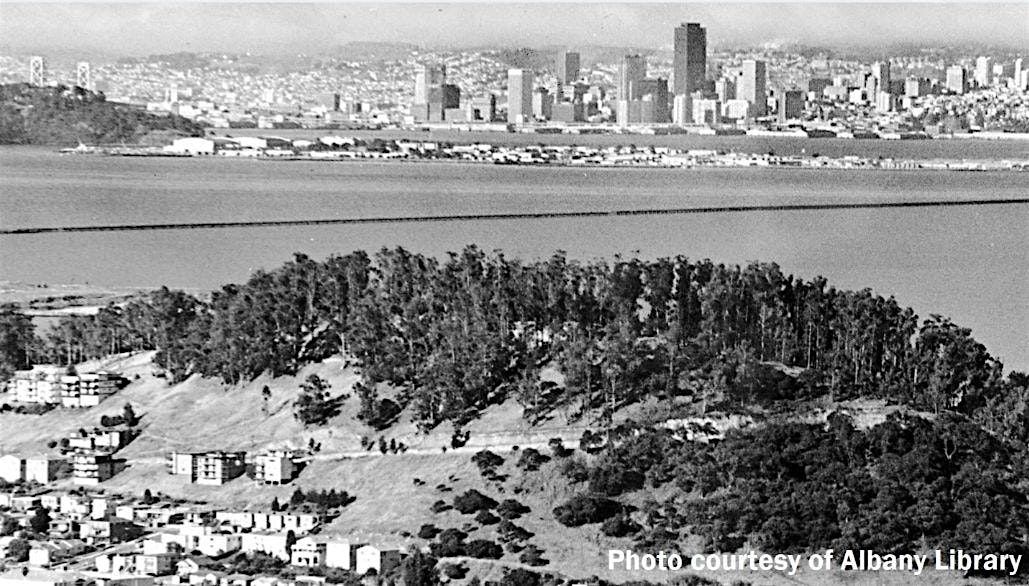 Albany Hill History Walk led by Karen Sorensen