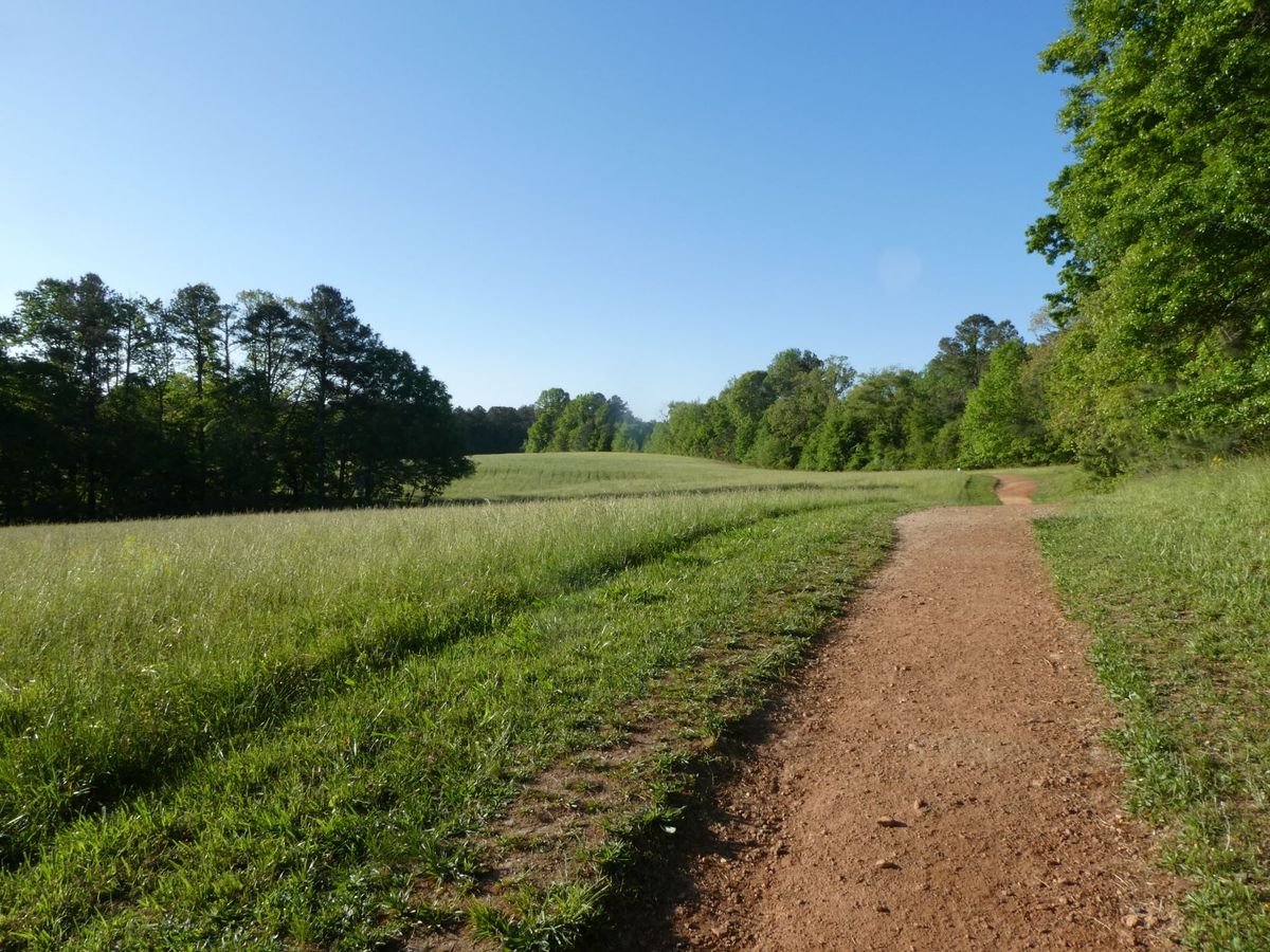 Trails Club Workday