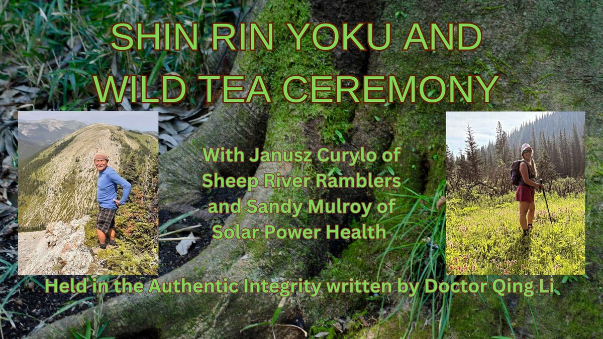 Forest Bathing and Wild Tea Ceremony 