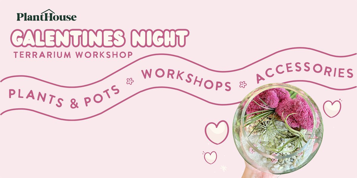 Galentine's Terrarium Workshop