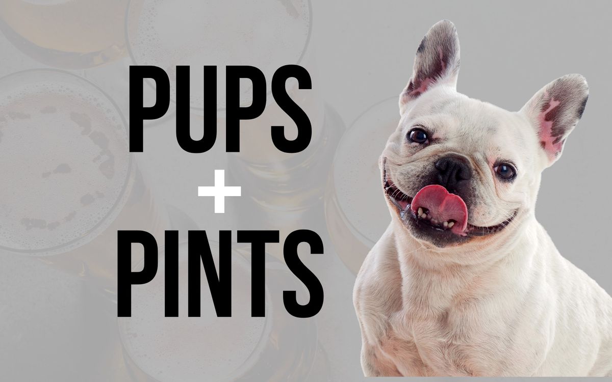 Pups + Pints \ud83d\udc36\u26be