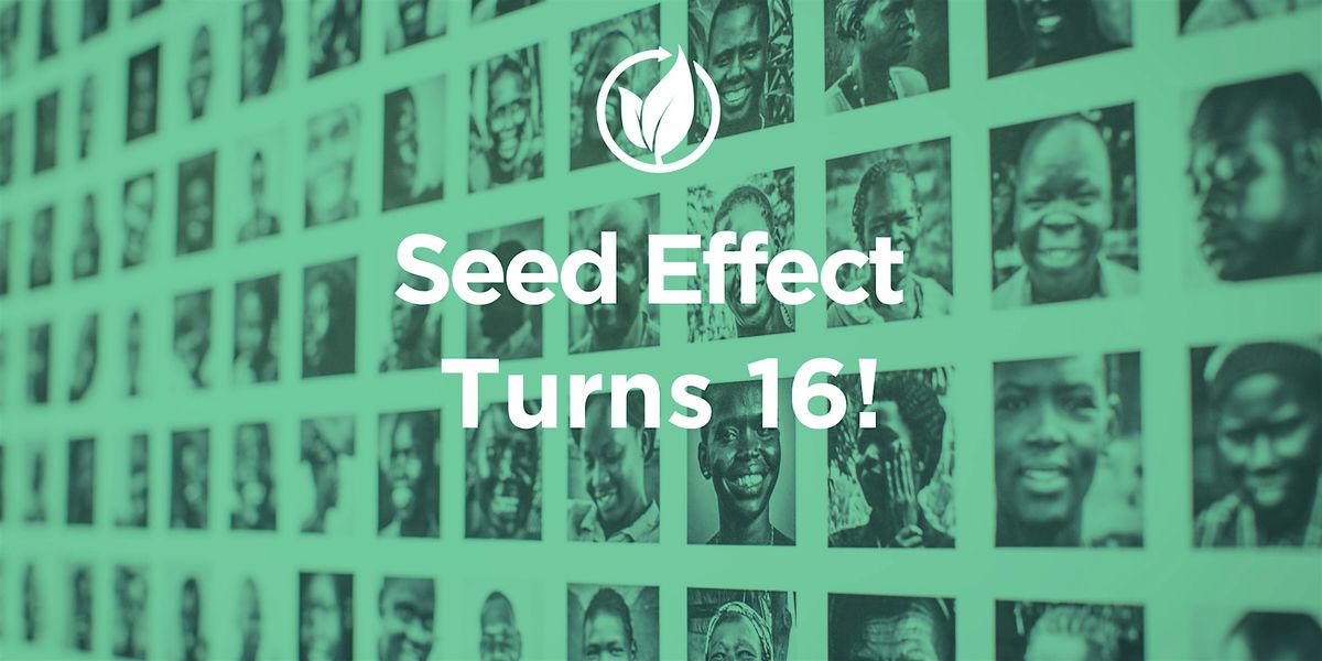 Seed Effect Turns 16!