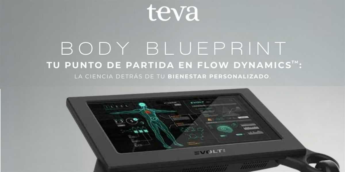 Blueprint y Thrive  Reflection:   Tu Ruta hacia el Bienestar Total