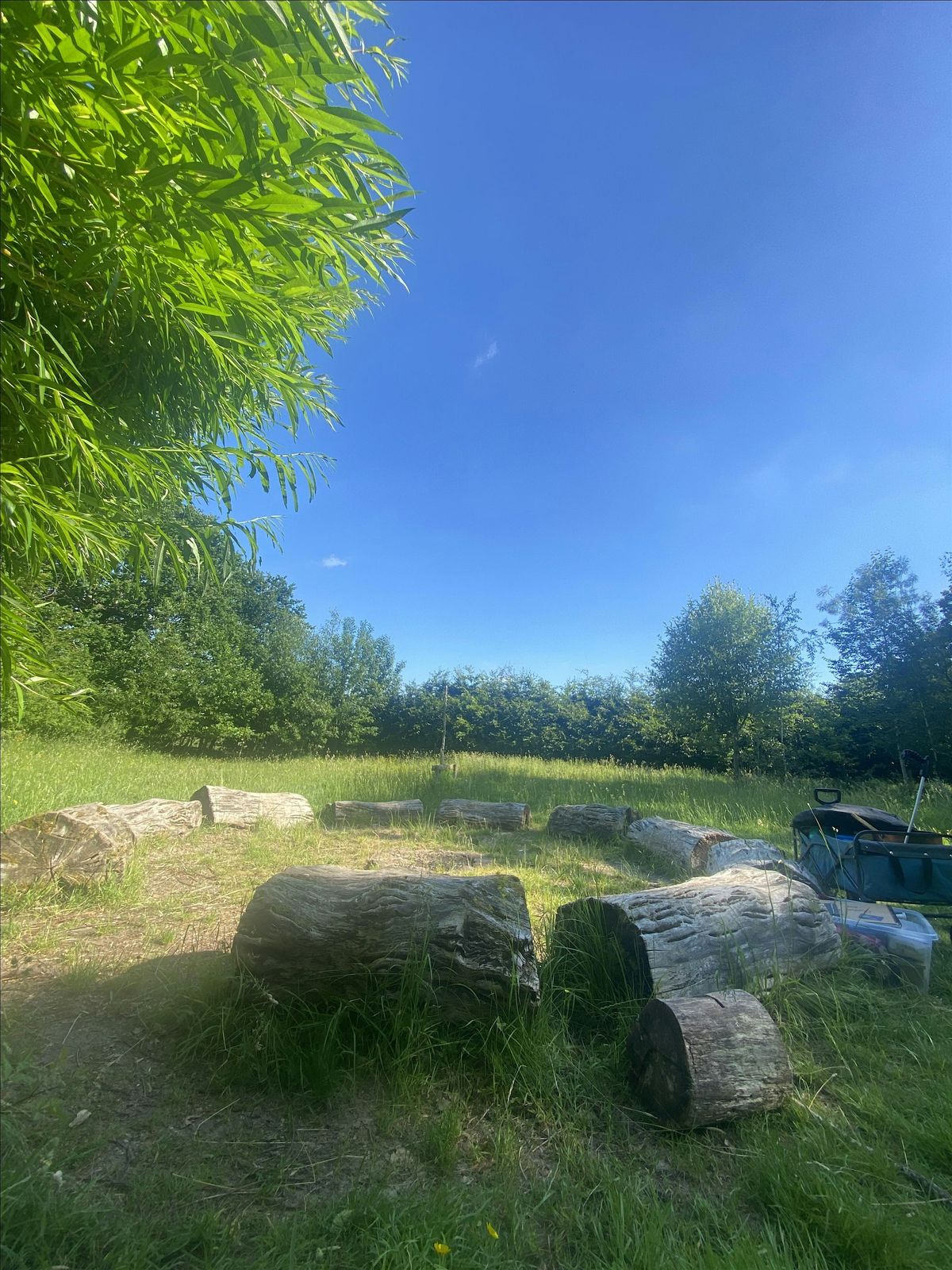 Holy Apostles Forest School Club (Autumn Term 2) Year groups 1-6