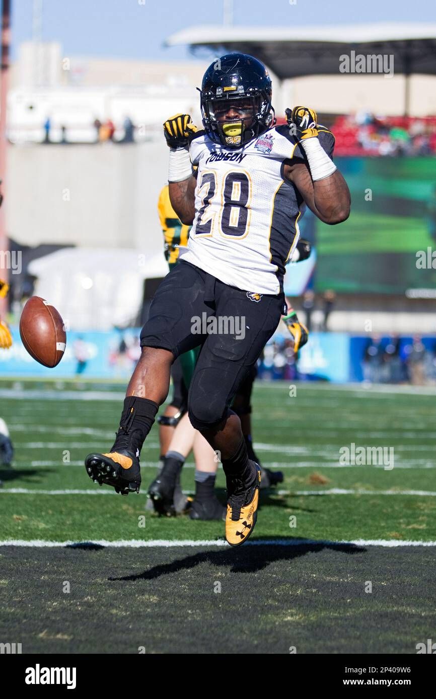 Towson Tigers at North Dakota State Bison Football