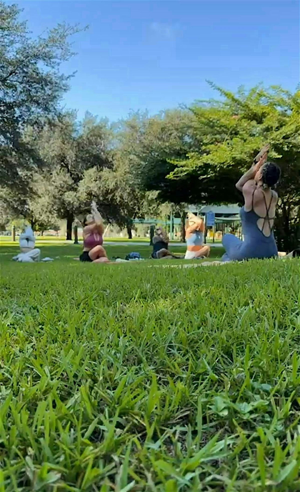 Lotus Bliss Vinyasa