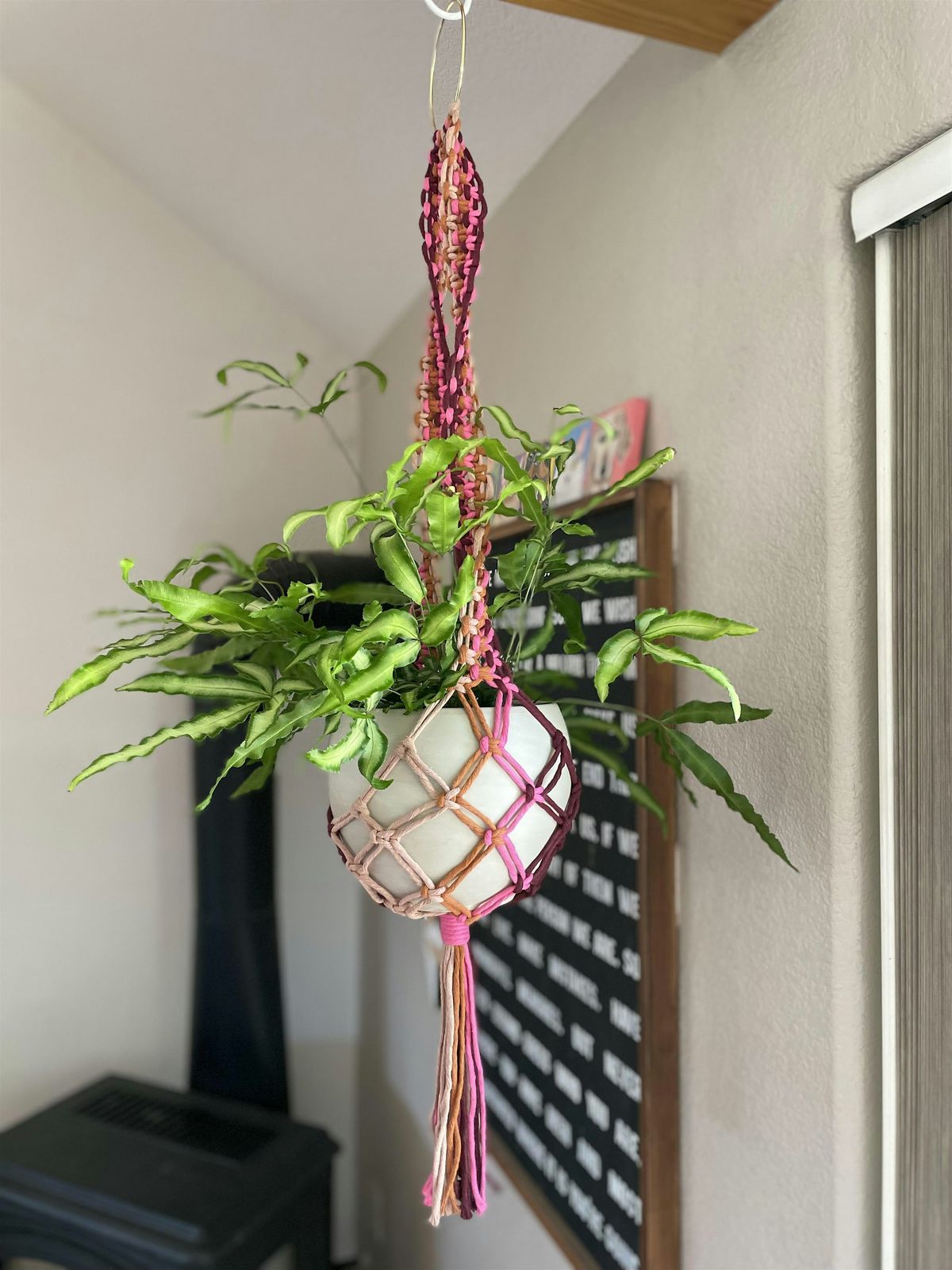 Intermediate Colorful Plant Hanger
