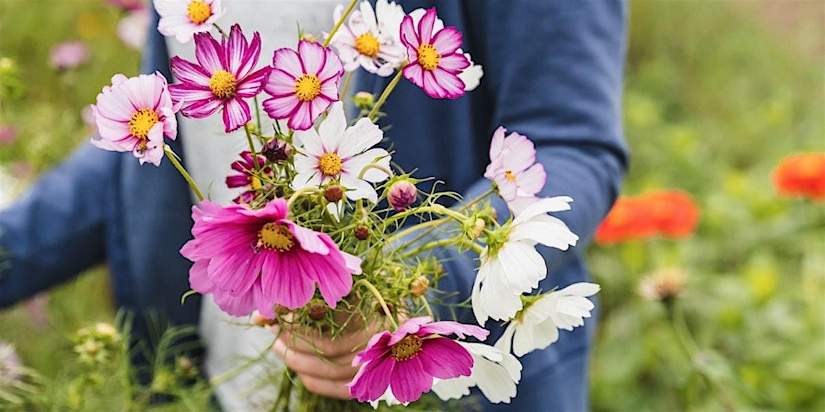 Blue Barn Meadows Flower U-Pick